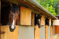 free Meadow Head stable construction quotes